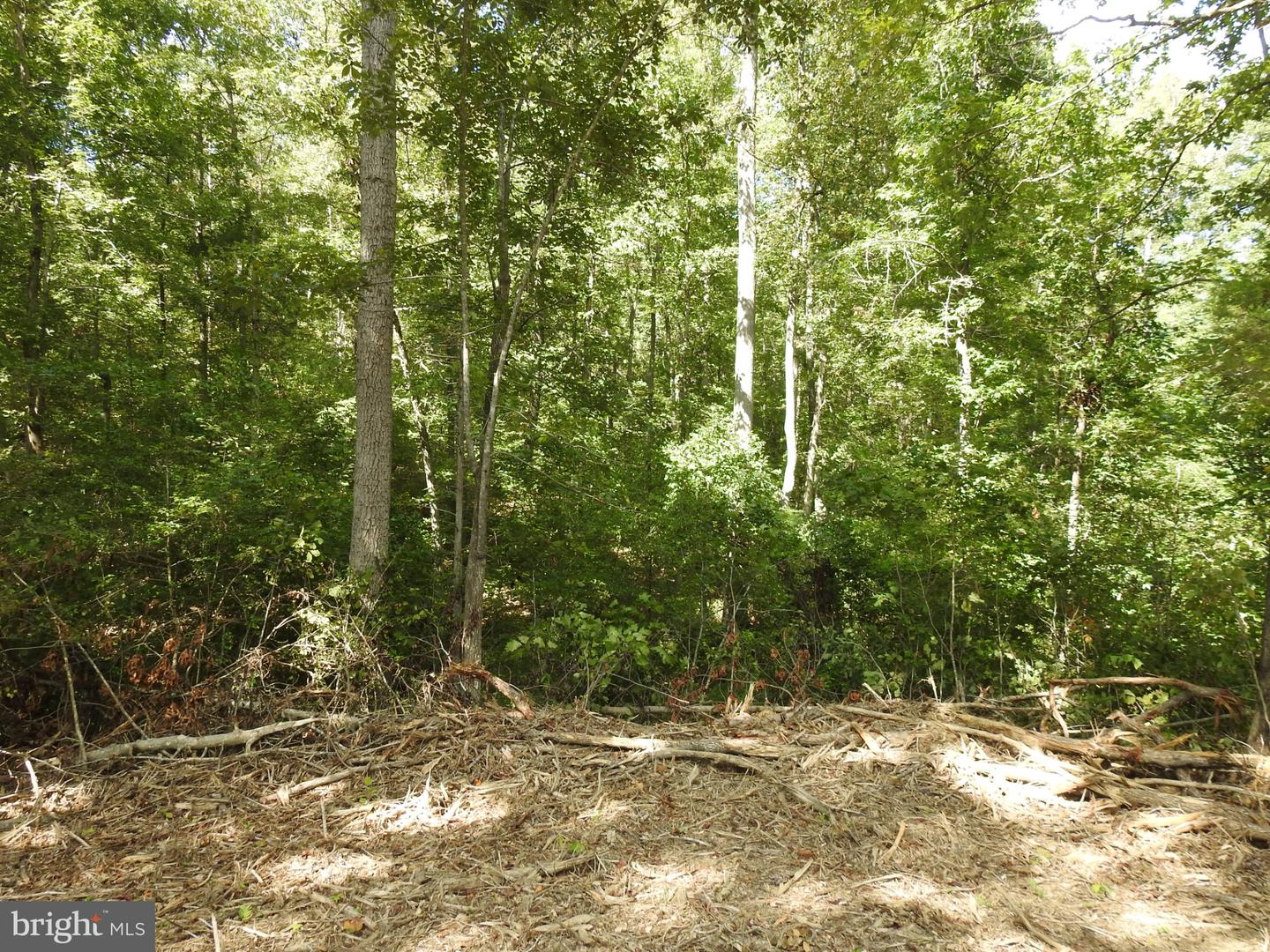 465 EQUESTRIAN LANDING TRL, BUMPASS, Virginia 23024, ,Land,For sale,465 EQUESTRIAN LANDING TRL,VALA2009280 MLS # VALA2009280