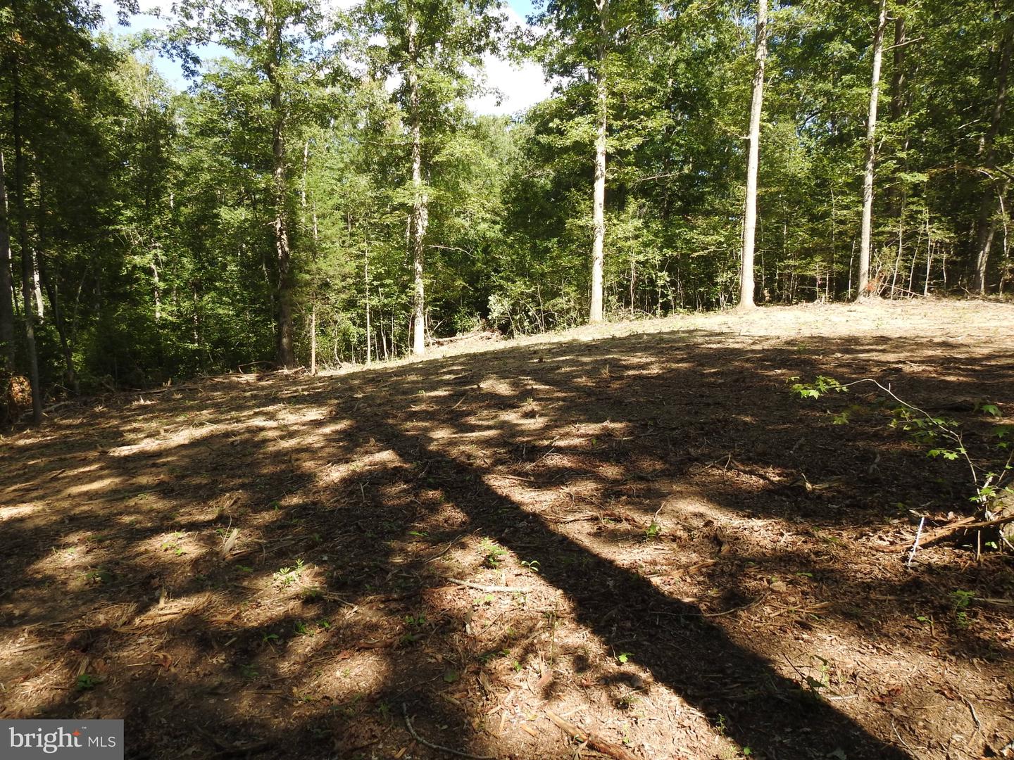 465 EQUESTRIAN LANDING TRL, BUMPASS, Virginia 23024, ,Land,For sale,465 EQUESTRIAN LANDING TRL,VALA2009280 MLS # VALA2009280