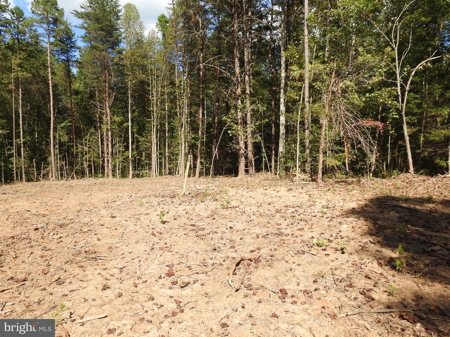 541 EQUESTRIAN LANDING TRL, BUMPASS, Virginia 23024, ,Land,For sale,541 EQUESTRIAN LANDING TRL,VALA2009286 MLS # VALA2009286