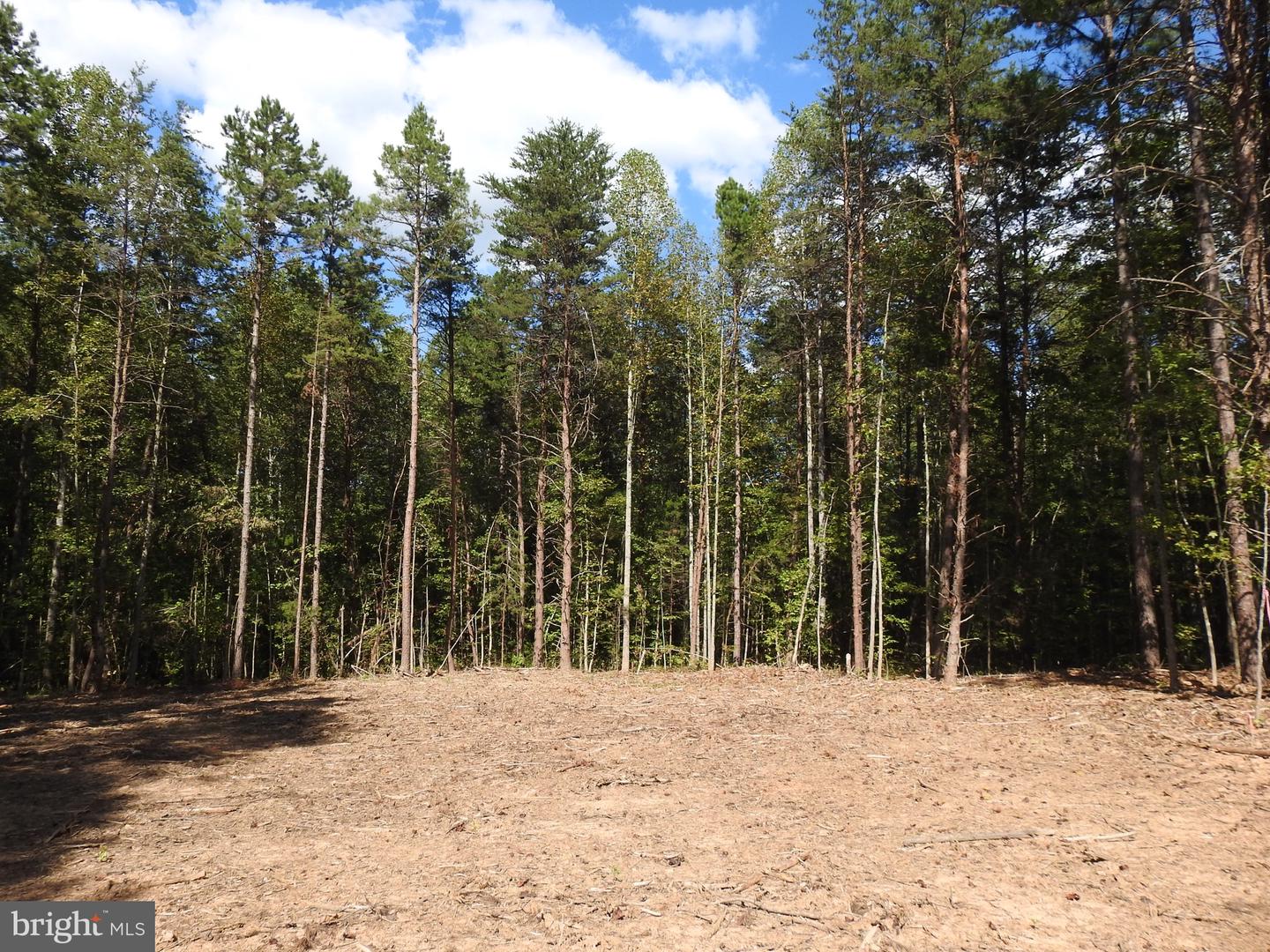 541 EQUESTRIAN LANDING TRL, BUMPASS, Virginia 23024, ,Land,For sale,541 EQUESTRIAN LANDING TRL,VALA2009286 MLS # VALA2009286