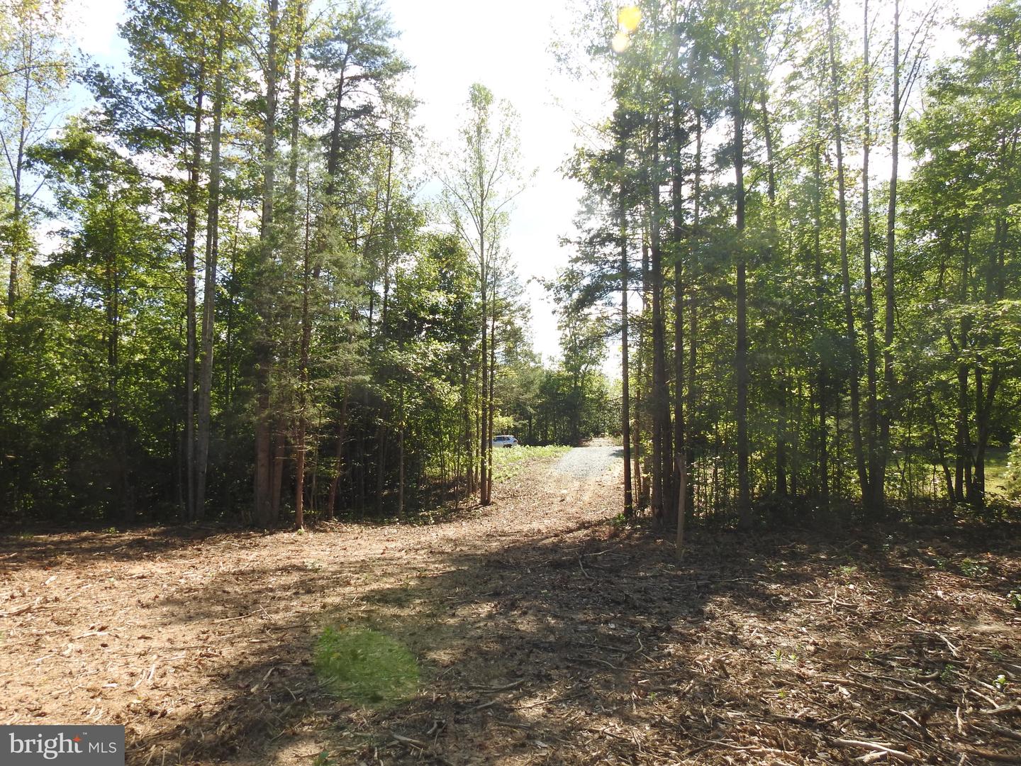 541 EQUESTRIAN LANDING TRL, BUMPASS, Virginia 23024, ,Land,For sale,541 EQUESTRIAN LANDING TRL,VALA2009286 MLS # VALA2009286