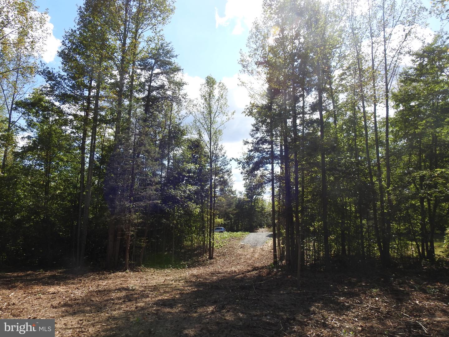 541 EQUESTRIAN LANDING TRL, BUMPASS, Virginia 23024, ,Land,For sale,541 EQUESTRIAN LANDING TRL,VALA2009286 MLS # VALA2009286