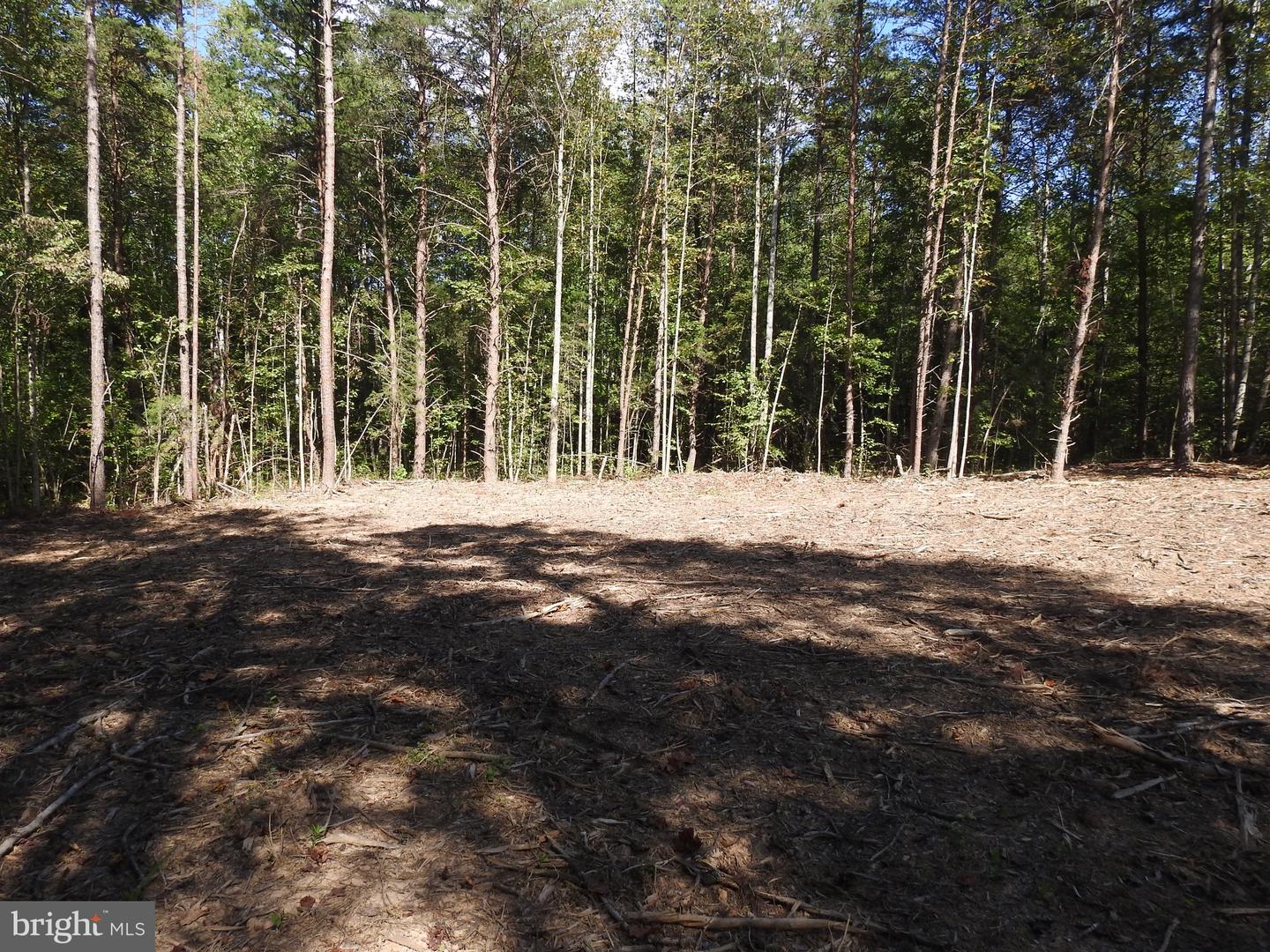 541 EQUESTRIAN LANDING TRL, BUMPASS, Virginia 23024, ,Land,For sale,541 EQUESTRIAN LANDING TRL,VALA2009286 MLS # VALA2009286