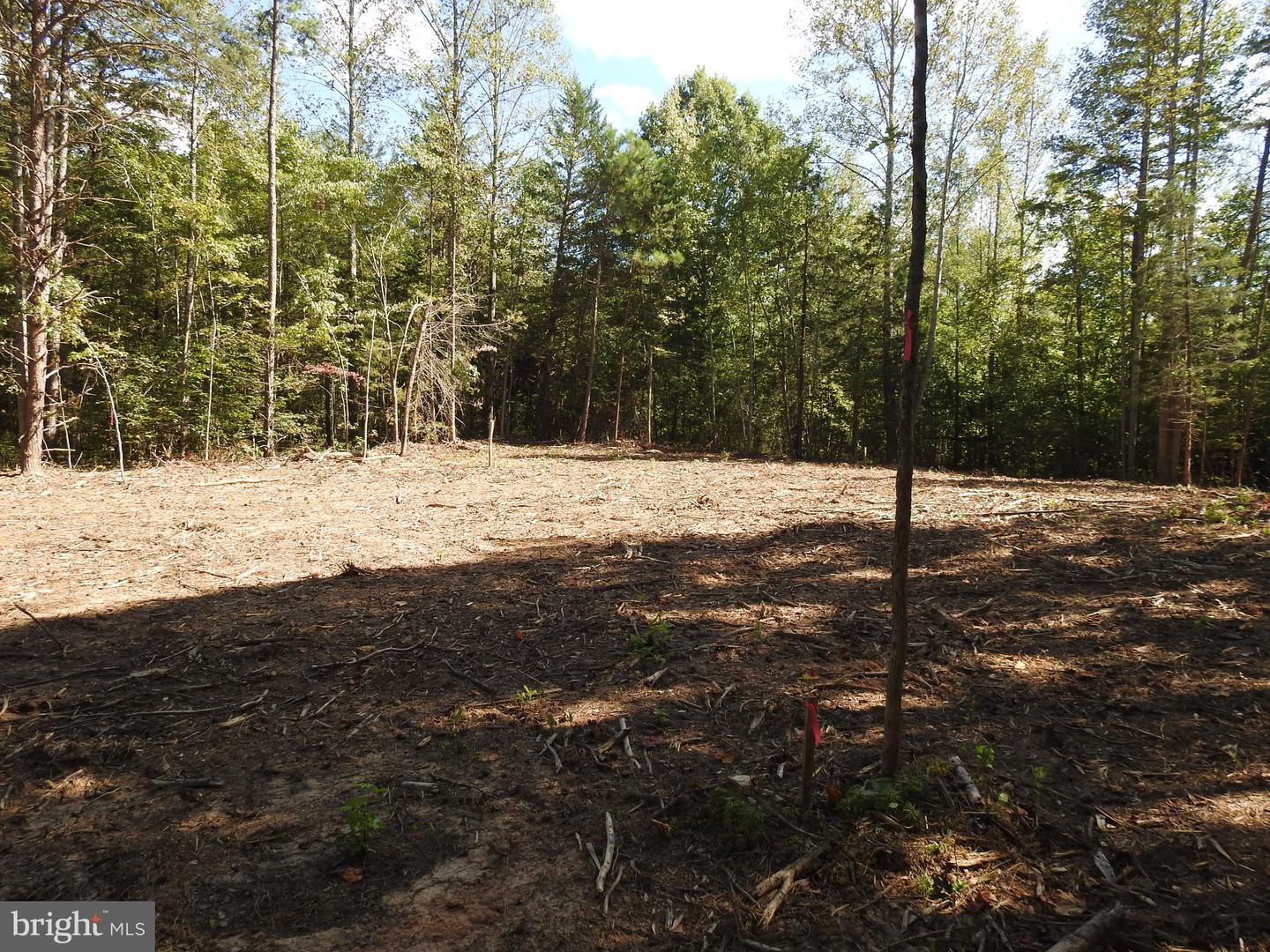 541 EQUESTRIAN LANDING TRL, BUMPASS, Virginia 23024, ,Land,For sale,541 EQUESTRIAN LANDING TRL,VALA2009286 MLS # VALA2009286