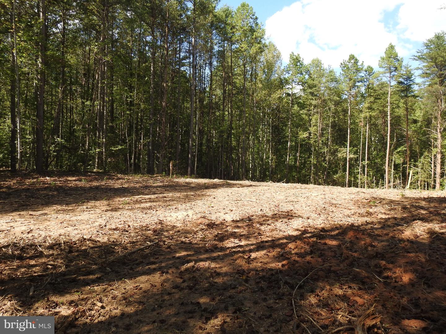 541 EQUESTRIAN LANDING TRL, BUMPASS, Virginia 23024, ,Land,For sale,541 EQUESTRIAN LANDING TRL,VALA2009286 MLS # VALA2009286