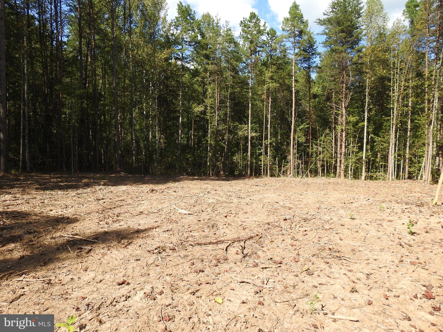 541 EQUESTRIAN LANDING TRL, BUMPASS, Virginia 23024, ,Land,For sale,541 EQUESTRIAN LANDING TRL,VALA2009286 MLS # VALA2009286