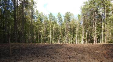 541 EQUESTRIAN LANDING TRL, BUMPASS, Virginia 23024, ,Land,For sale,541 EQUESTRIAN LANDING TRL,VALA2009286 MLS # VALA2009286