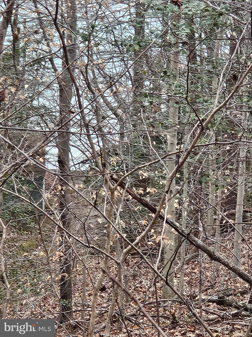 LOT 11 GREENPOINT LANDING ROAD, MONTROSS, Virginia 22520, ,Land,For sale,LOT 11 GREENPOINT LANDING ROAD,VAWE2010524 MLS # VAWE2010524