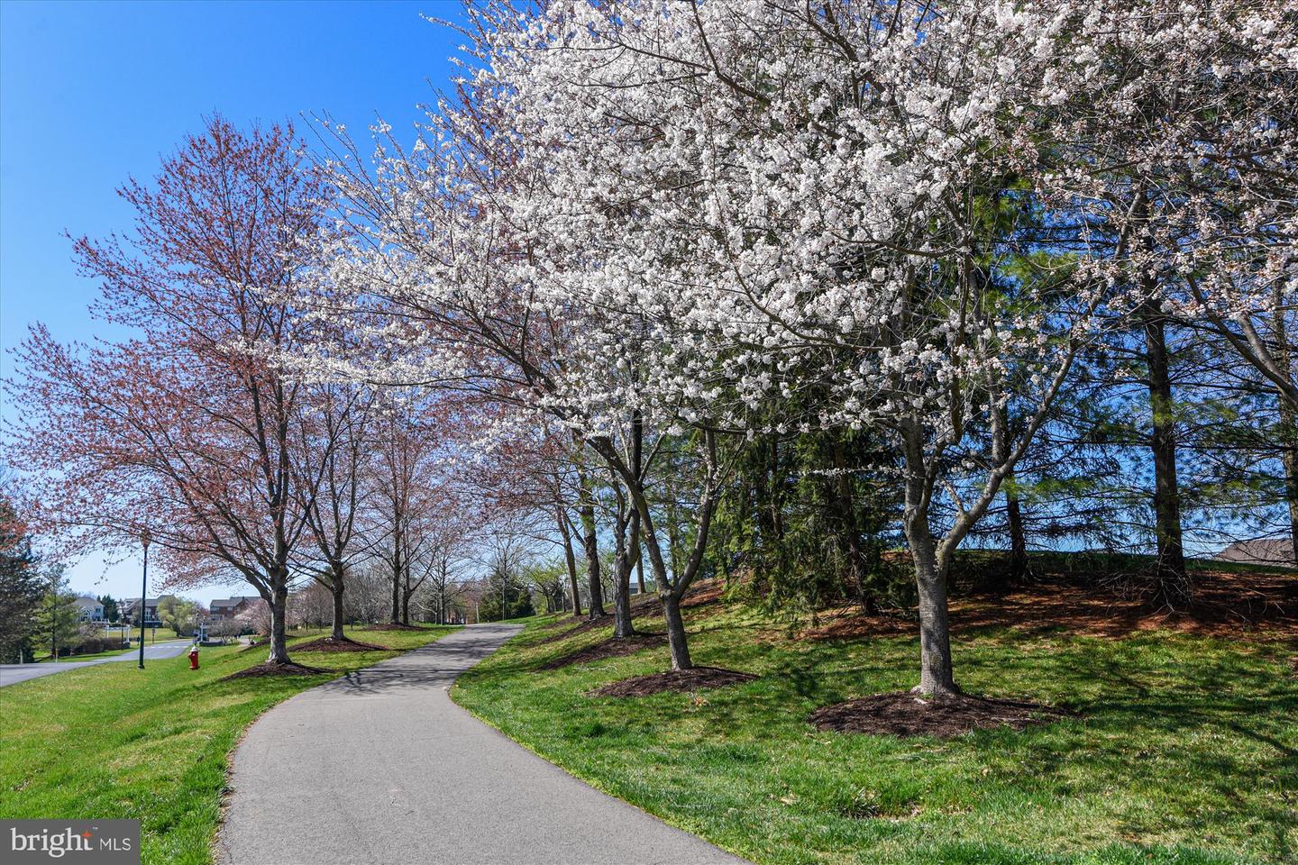 18415 KINGSMILL ST, LEESBURG, Virginia 20176, 5 Bedrooms Bedrooms, ,4 BathroomsBathrooms,Residential,For sale,18415 KINGSMILL ST,VALO2115426 MLS # VALO2115426