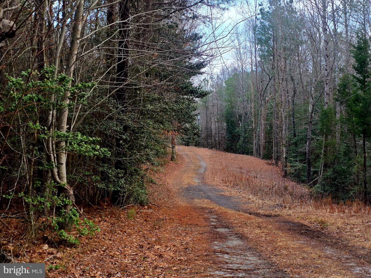 3746 ENOS RD, GLOUCESTER, Virginia 23061, 3 Bedrooms Bedrooms, 5 Rooms Rooms,2 BathroomsBathrooms,Residential,For sale,3746 ENOS RD,VAGV2000184 MLS # VAGV2000184