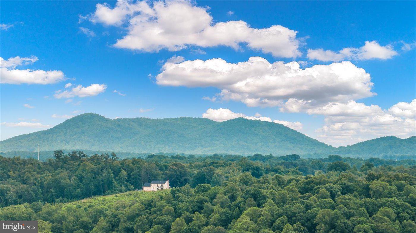 1830 THRIFT RD, MADISON, Virginia 22727, 3 Bedrooms Bedrooms, ,2 BathroomsBathrooms,Farm,For sale,1830 THRIFT RD,VAMA2002606 MLS # VAMA2002606