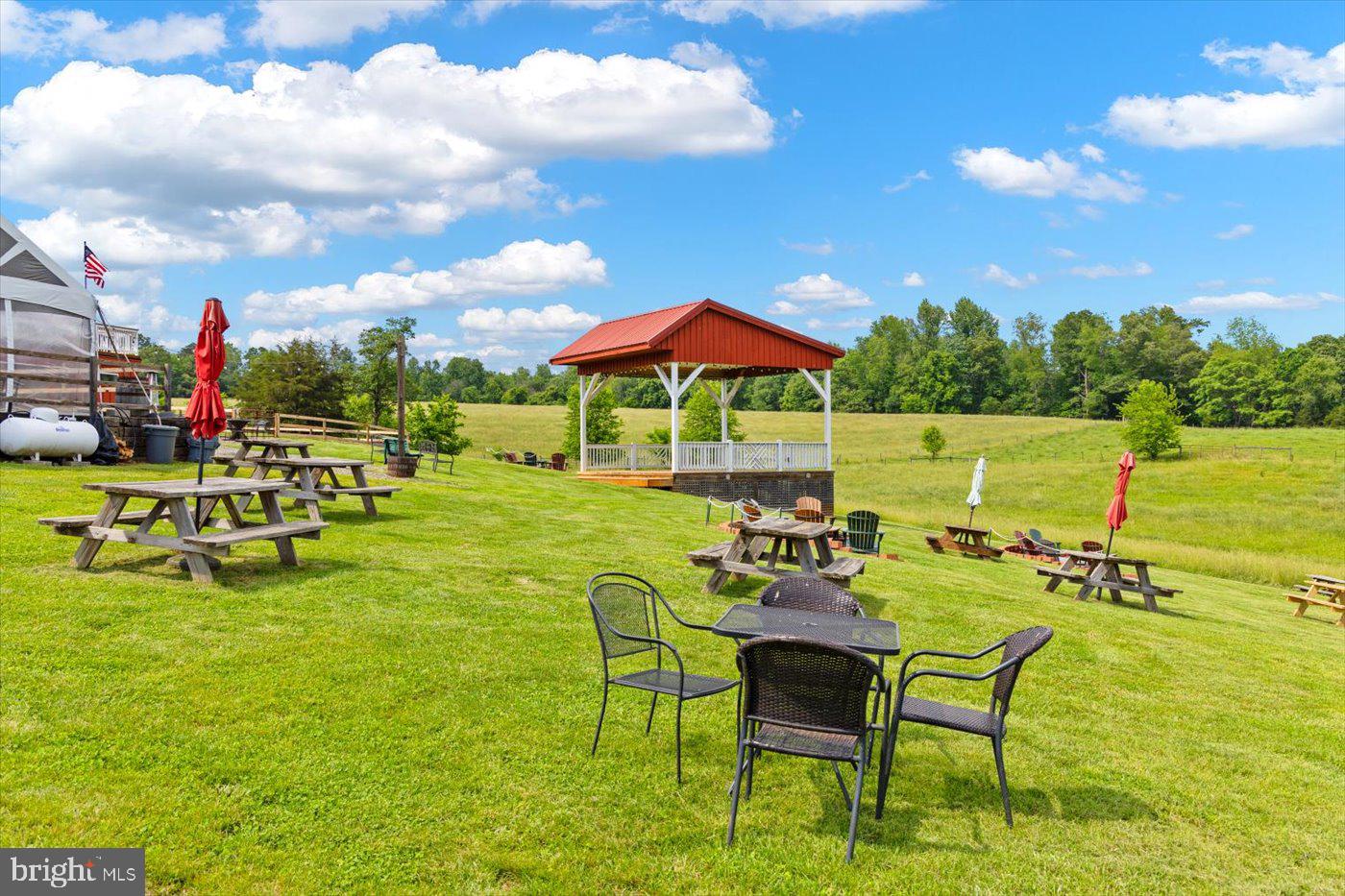 1830 THRIFT RD, MADISON, Virginia 22727, 3 Bedrooms Bedrooms, ,2 BathroomsBathrooms,Farm,For sale,1830 THRIFT RD,VAMA2002606 MLS # VAMA2002606