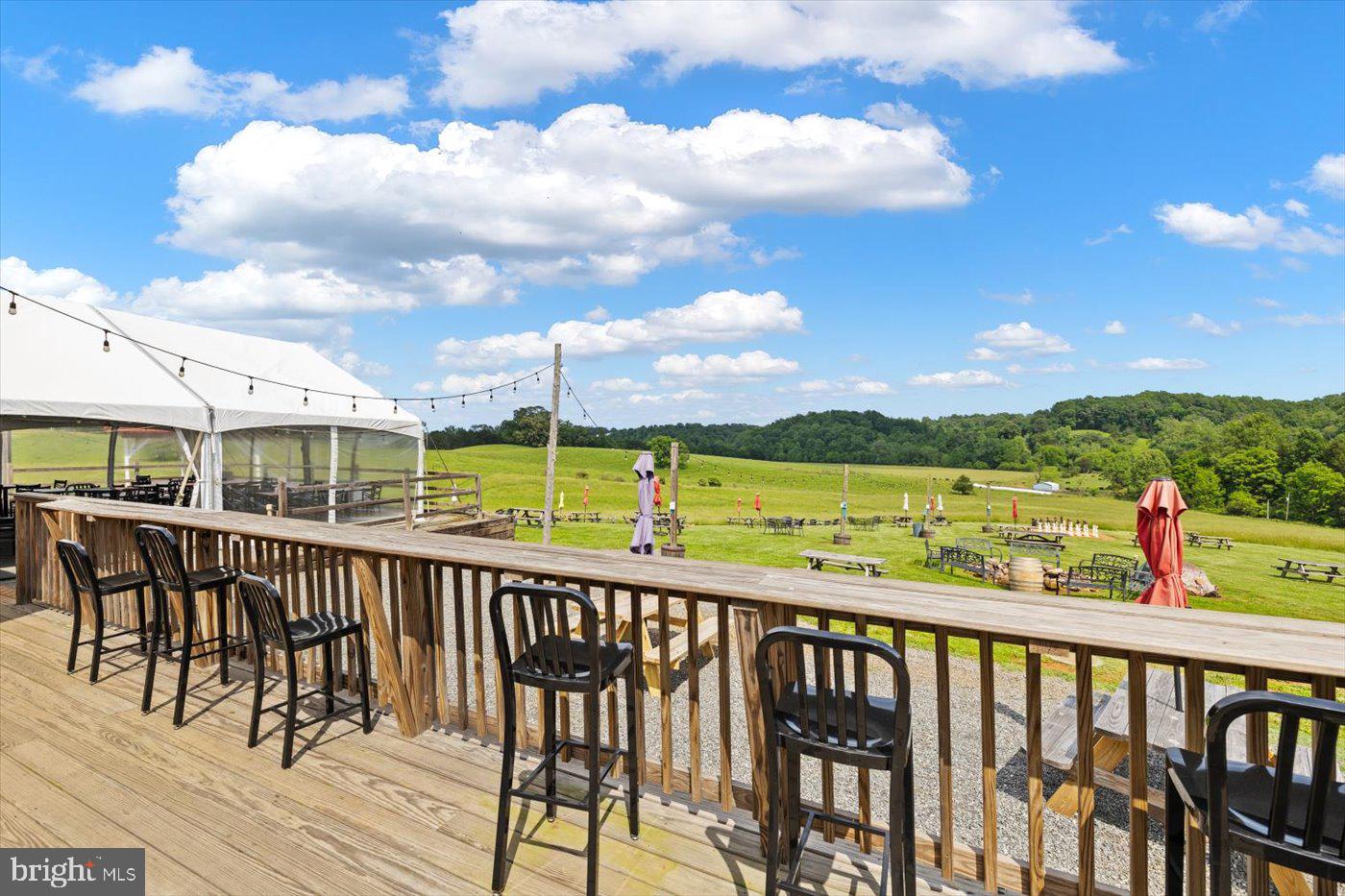 1830 THRIFT RD, MADISON, Virginia 22727, 3 Bedrooms Bedrooms, ,2 BathroomsBathrooms,Farm,For sale,1830 THRIFT RD,VAMA2002606 MLS # VAMA2002606