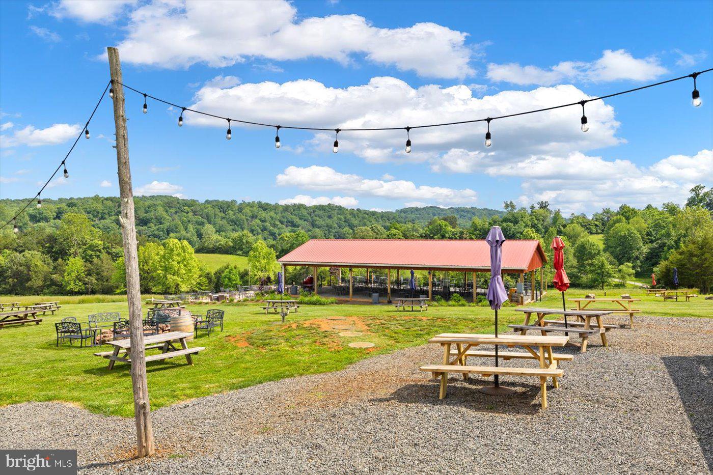 1830 THRIFT RD, MADISON, Virginia 22727, 3 Bedrooms Bedrooms, ,2 BathroomsBathrooms,Farm,For sale,1830 THRIFT RD,VAMA2002606 MLS # VAMA2002606