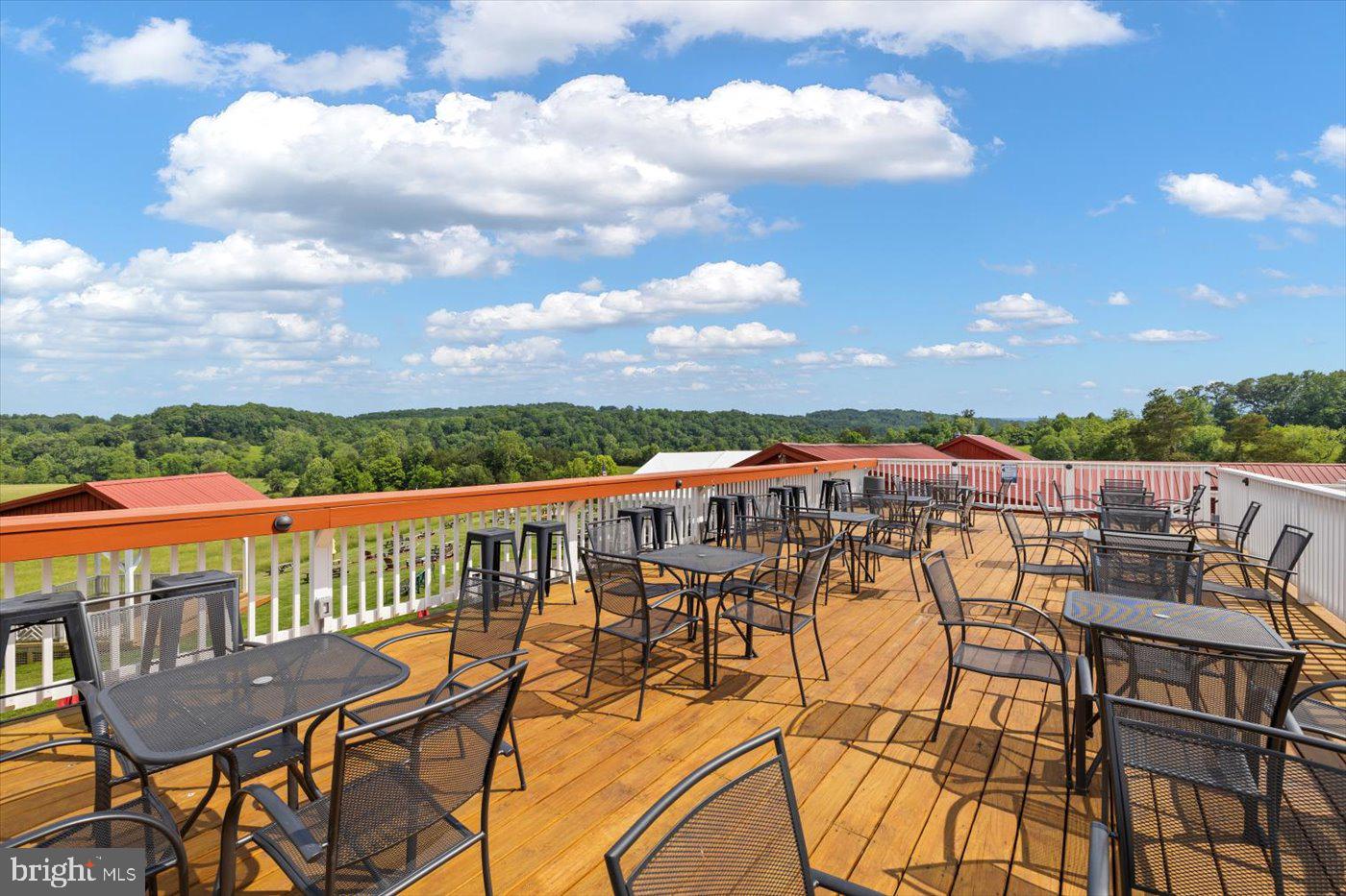 1830 THRIFT RD, MADISON, Virginia 22727, 3 Bedrooms Bedrooms, ,2 BathroomsBathrooms,Farm,For sale,1830 THRIFT RD,VAMA2002606 MLS # VAMA2002606