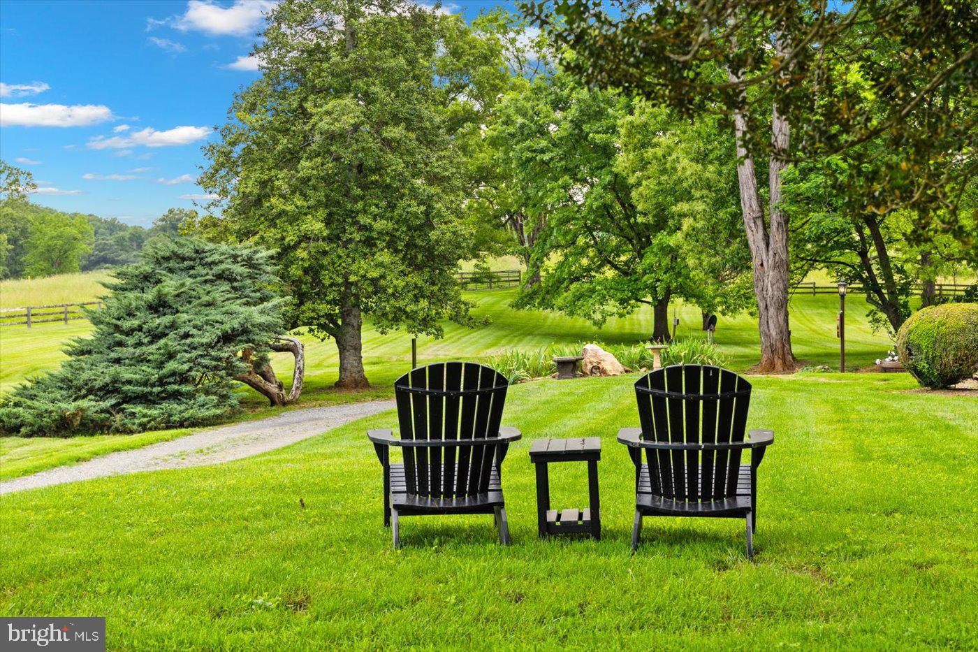 1830 THRIFT RD, MADISON, Virginia 22727, 3 Bedrooms Bedrooms, ,2 BathroomsBathrooms,Farm,For sale,1830 THRIFT RD,VAMA2002606 MLS # VAMA2002606