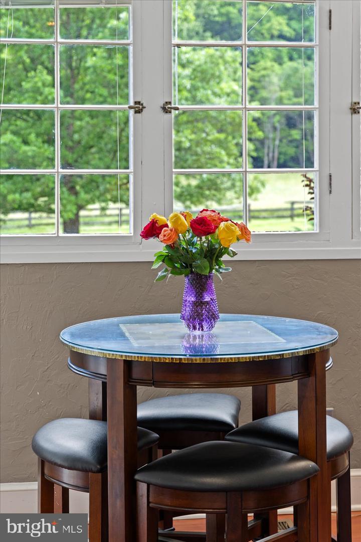 1830 THRIFT RD, MADISON, Virginia 22727, 3 Bedrooms Bedrooms, ,2 BathroomsBathrooms,Farm,For sale,1830 THRIFT RD,VAMA2002606 MLS # VAMA2002606