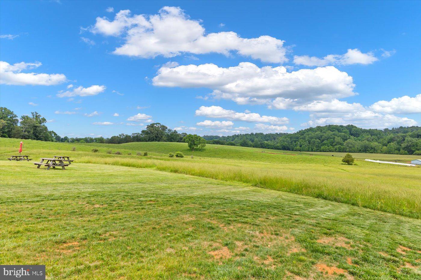 1830 THRIFT RD, MADISON, Virginia 22727, 3 Bedrooms Bedrooms, ,2 BathroomsBathrooms,Farm,For sale,1830 THRIFT RD,VAMA2002606 MLS # VAMA2002606