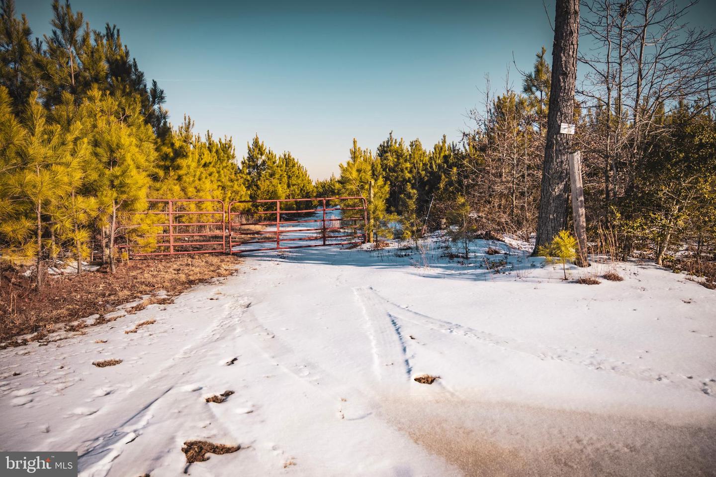 TBD SPARTA RD, MILFORD, Virginia 22514, ,Farm,For sale,TBD SPARTA RD,VACV2009536 MLS # VACV2009536