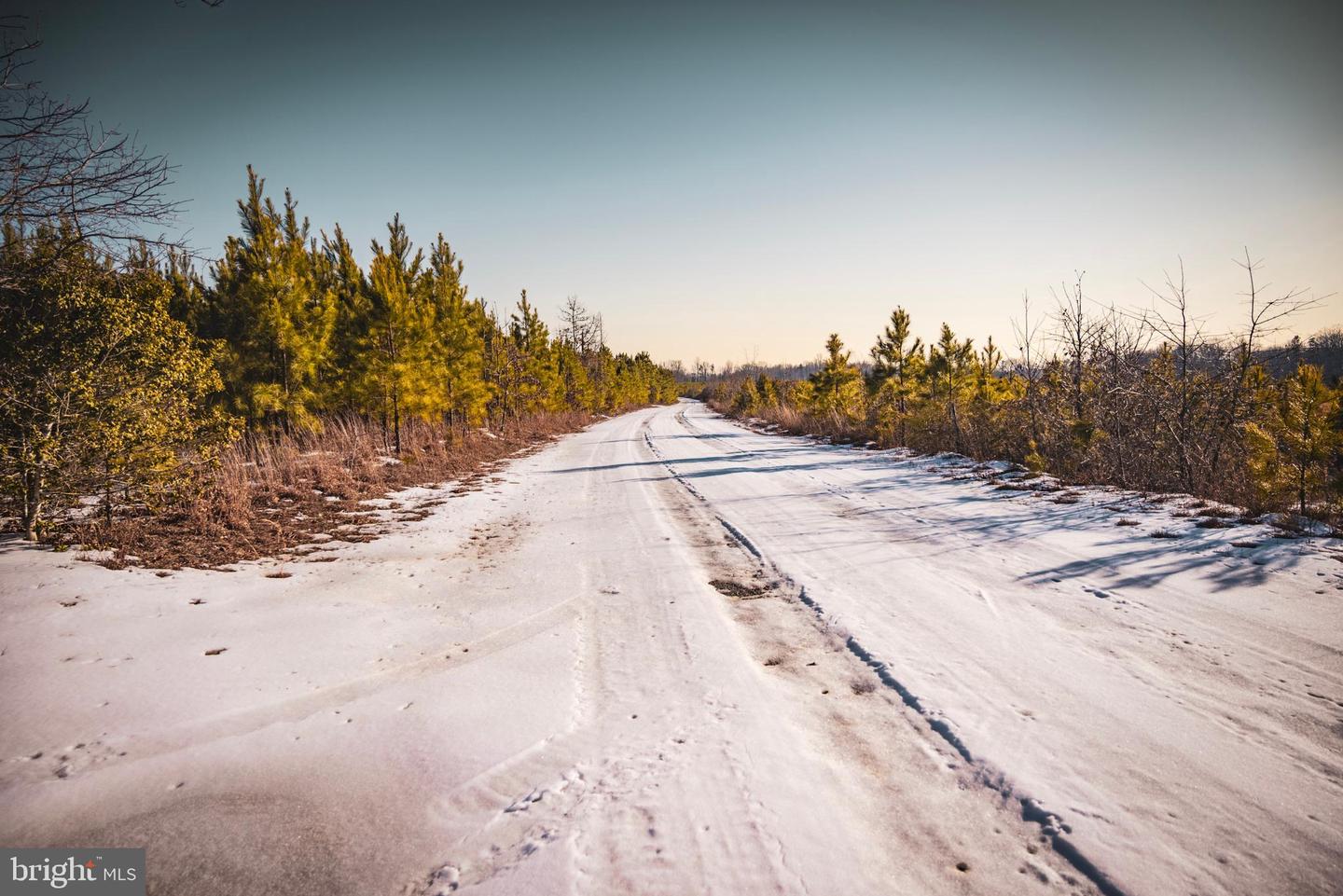 TBD SPARTA RD, MILFORD, Virginia 22514, ,Farm,For sale,TBD SPARTA RD,VACV2009536 MLS # VACV2009536