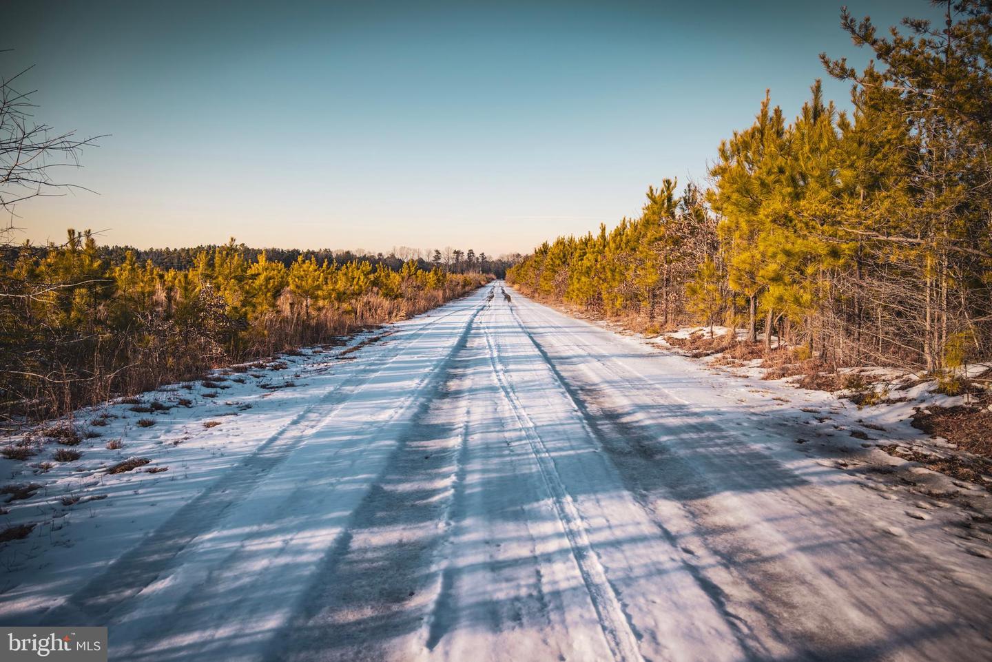 TBD SPARTA RD, MILFORD, Virginia 22514, ,Farm,For sale,TBD SPARTA RD,VACV2009536 MLS # VACV2009536