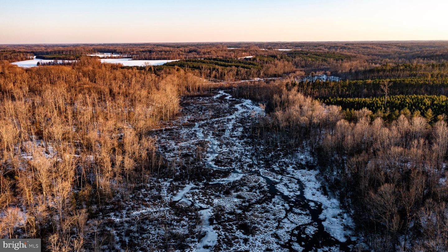 TBD SPARTA RD, MILFORD, Virginia 22514, ,Farm,For sale,TBD SPARTA RD,VACV2009536 MLS # VACV2009536