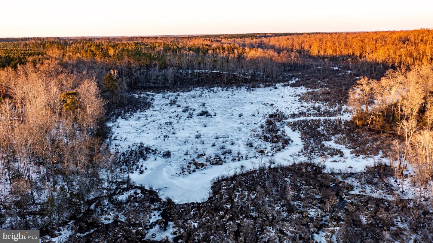 TBD SPARTA RD, MILFORD, Virginia 22514, ,Farm,For sale,TBD SPARTA RD,VACV2009536 MLS # VACV2009536