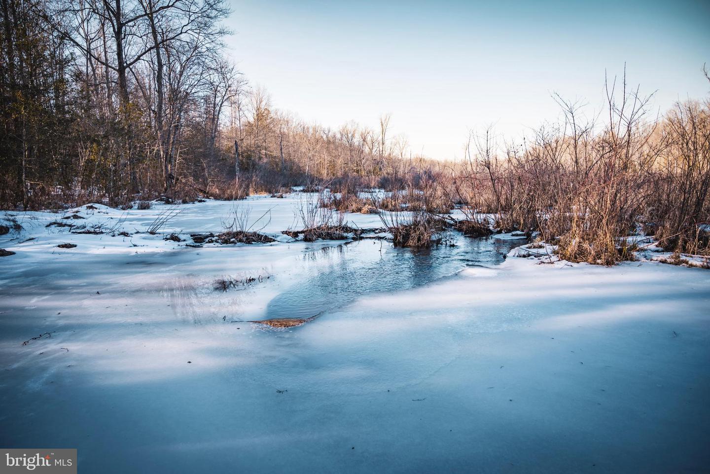 TBD SPARTA RD, MILFORD, Virginia 22514, ,Farm,For sale,TBD SPARTA RD,VACV2009536 MLS # VACV2009536