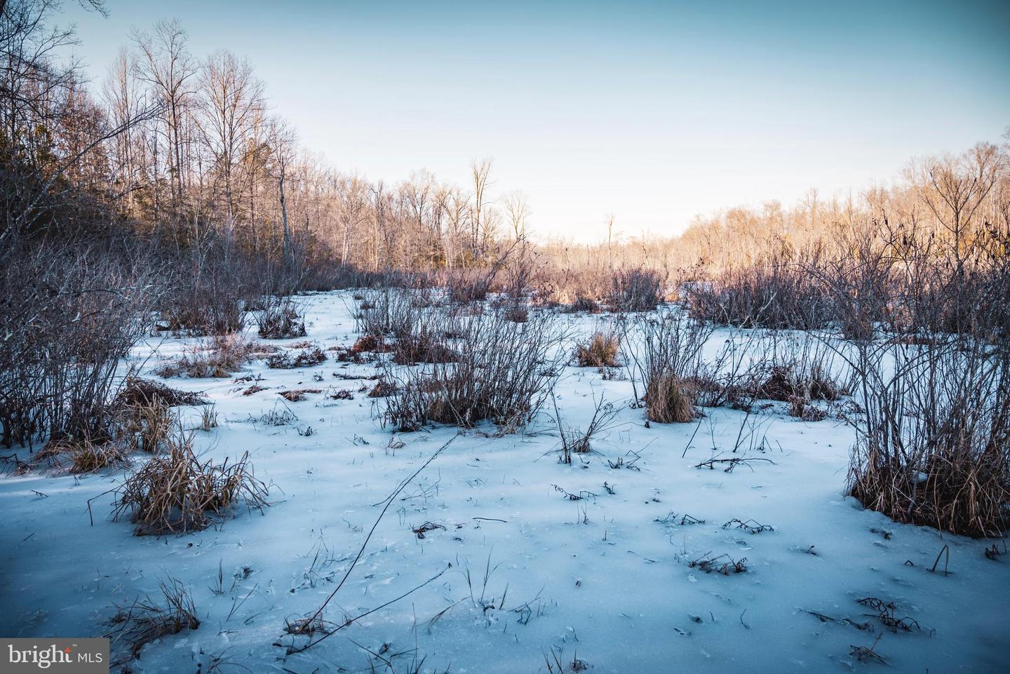 TBD SPARTA RD, MILFORD, Virginia 22514, ,Farm,For sale,TBD SPARTA RD,VACV2009536 MLS # VACV2009536