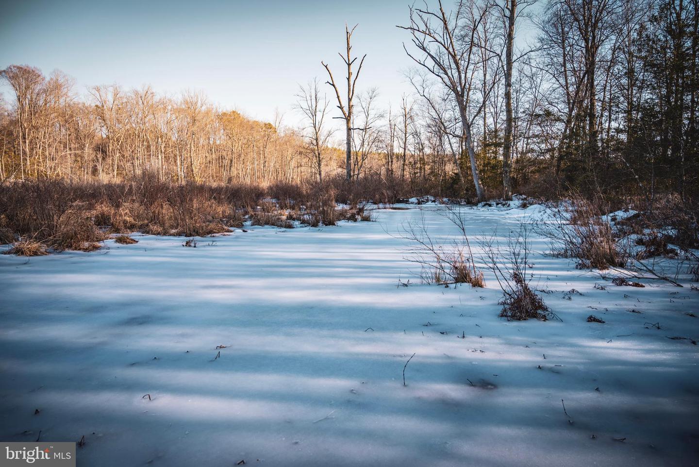 TBD SPARTA RD, MILFORD, Virginia 22514, ,Farm,For sale,TBD SPARTA RD,VACV2009536 MLS # VACV2009536