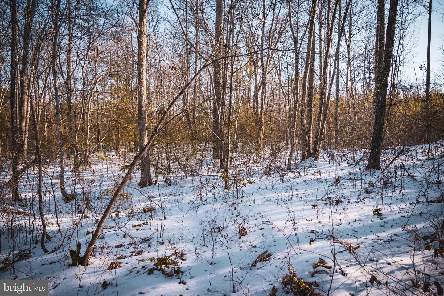 TBD SPARTA RD, MILFORD, Virginia 22514, ,Farm,For sale,TBD SPARTA RD,VACV2009536 MLS # VACV2009536