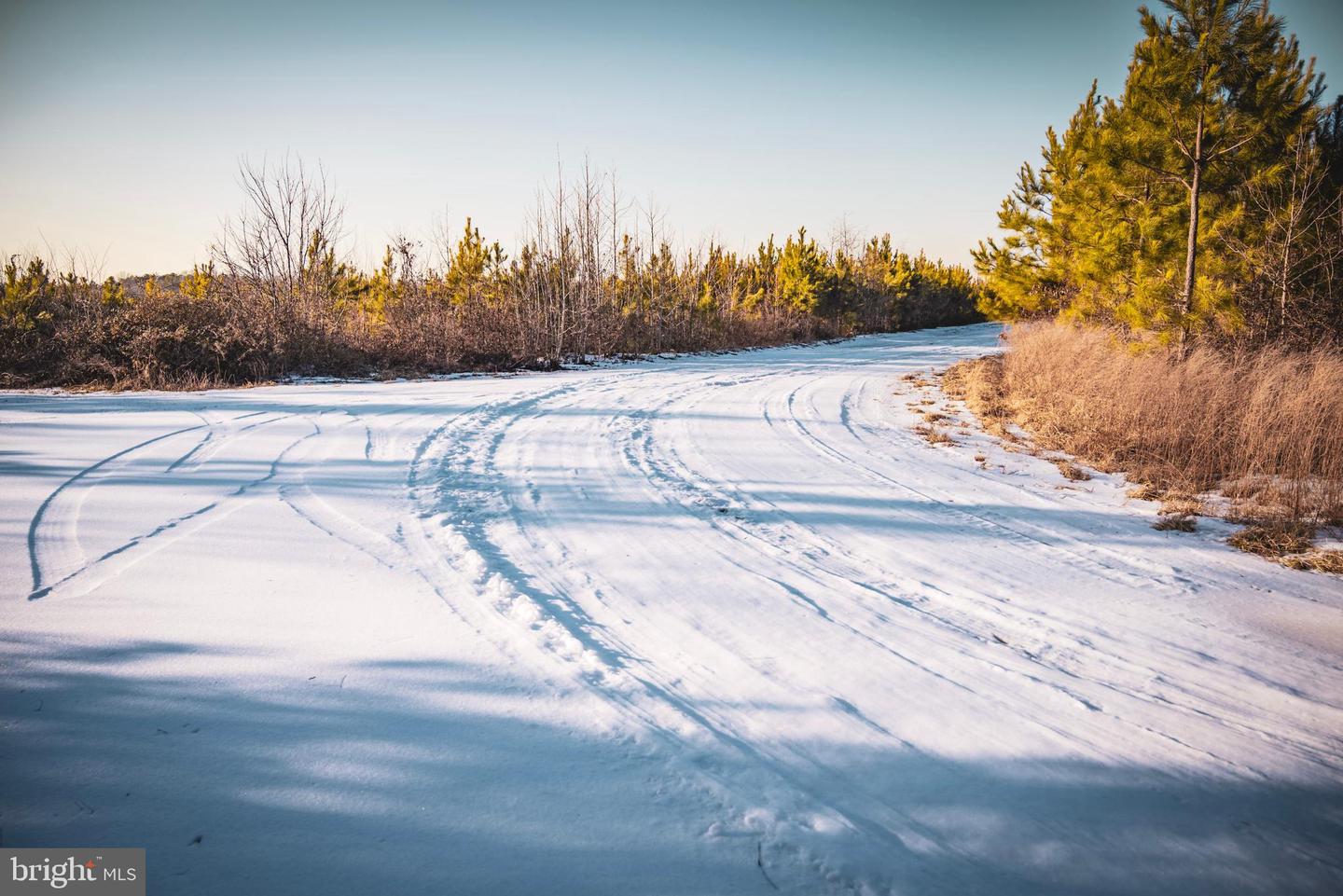 TBD SPARTA RD, MILFORD, Virginia 22514, ,Farm,For sale,TBD SPARTA RD,VACV2009536 MLS # VACV2009536