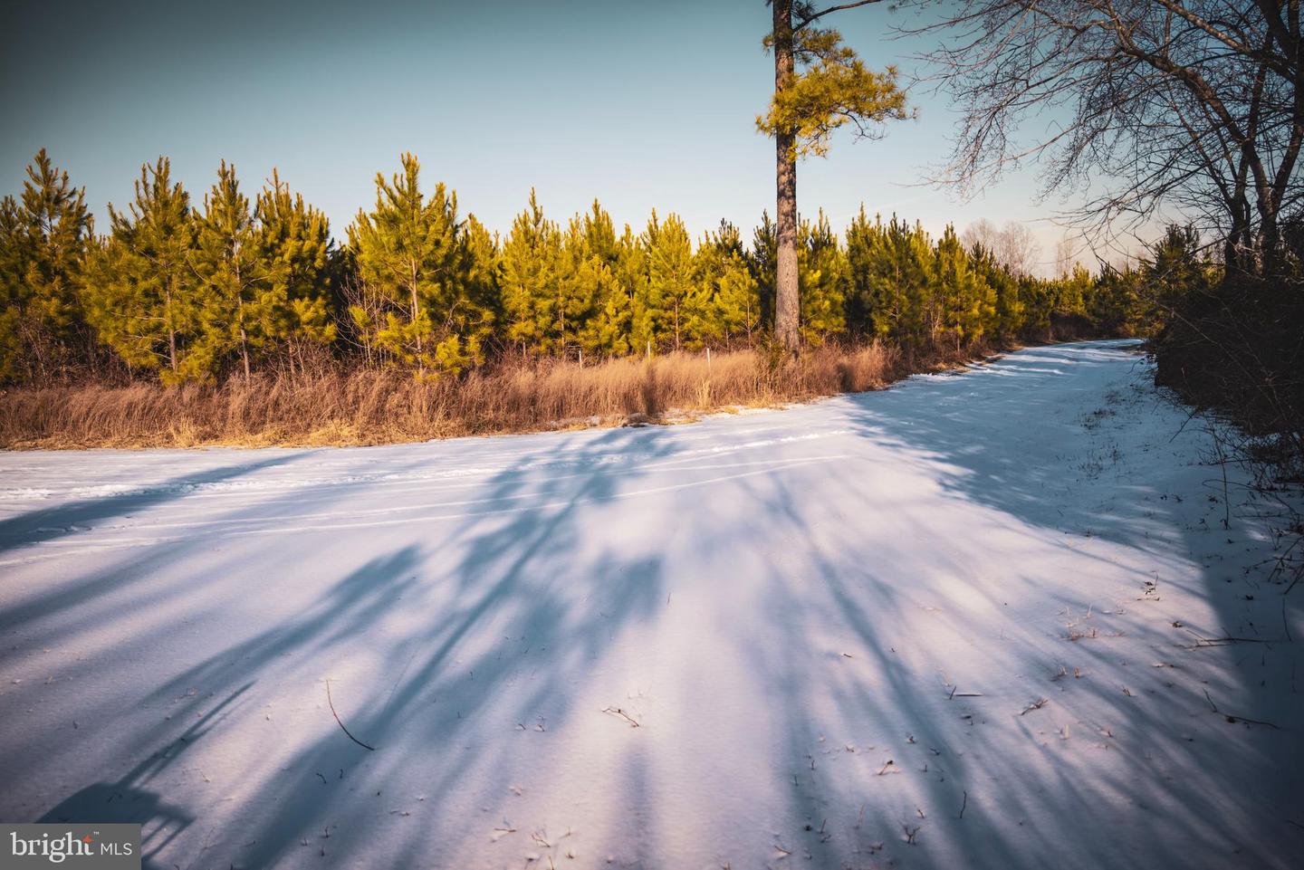 TBD SPARTA RD, MILFORD, Virginia 22514, ,Farm,For sale,TBD SPARTA RD,VACV2009536 MLS # VACV2009536