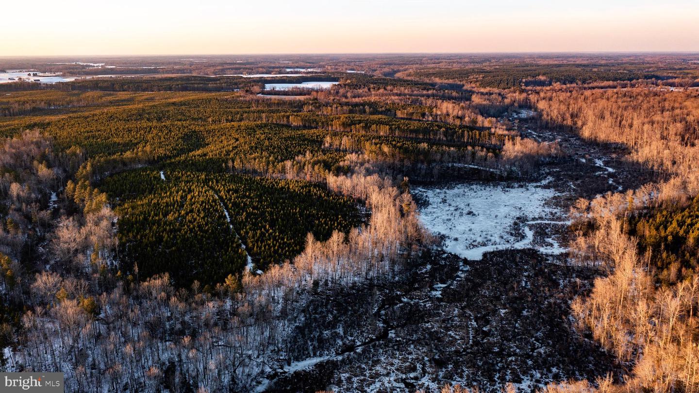 TBD SPARTA RD, MILFORD, Virginia 22514, ,Farm,For sale,TBD SPARTA RD,VACV2009536 MLS # VACV2009536