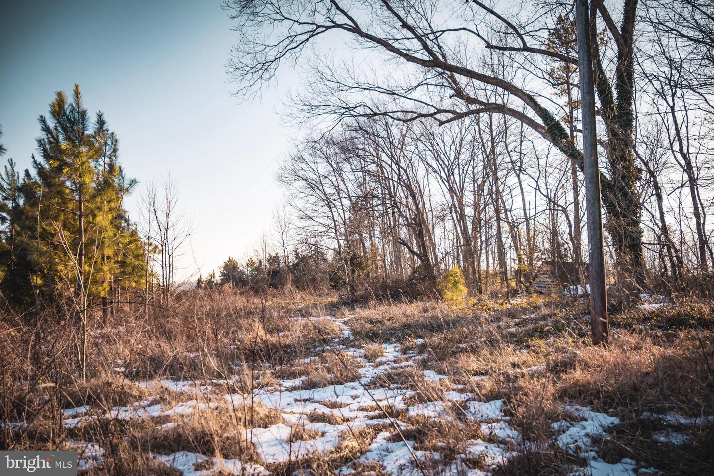 TBD SPARTA RD, MILFORD, Virginia 22514, ,Farm,For sale,TBD SPARTA RD,VACV2009536 MLS # VACV2009536