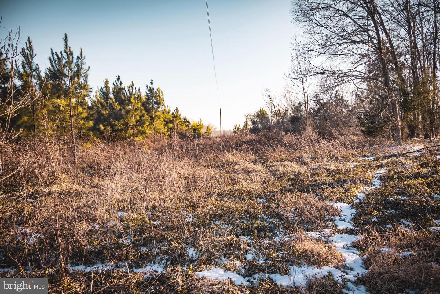 TBD SPARTA RD, MILFORD, Virginia 22514, ,Farm,For sale,TBD SPARTA RD,VACV2009536 MLS # VACV2009536