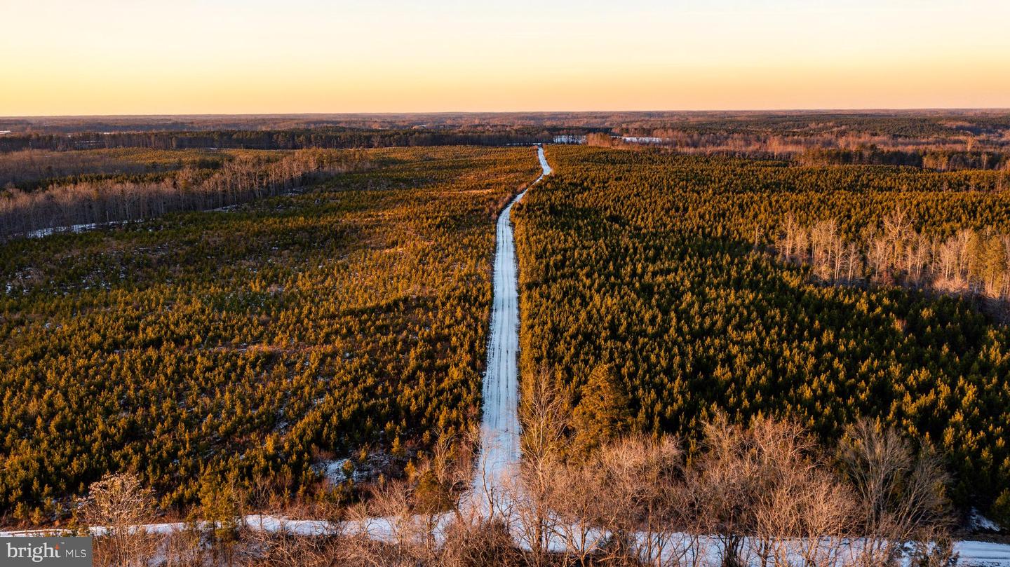 TBD SPARTA RD, MILFORD, Virginia 22514, ,Farm,For sale,TBD SPARTA RD,VACV2009536 MLS # VACV2009536