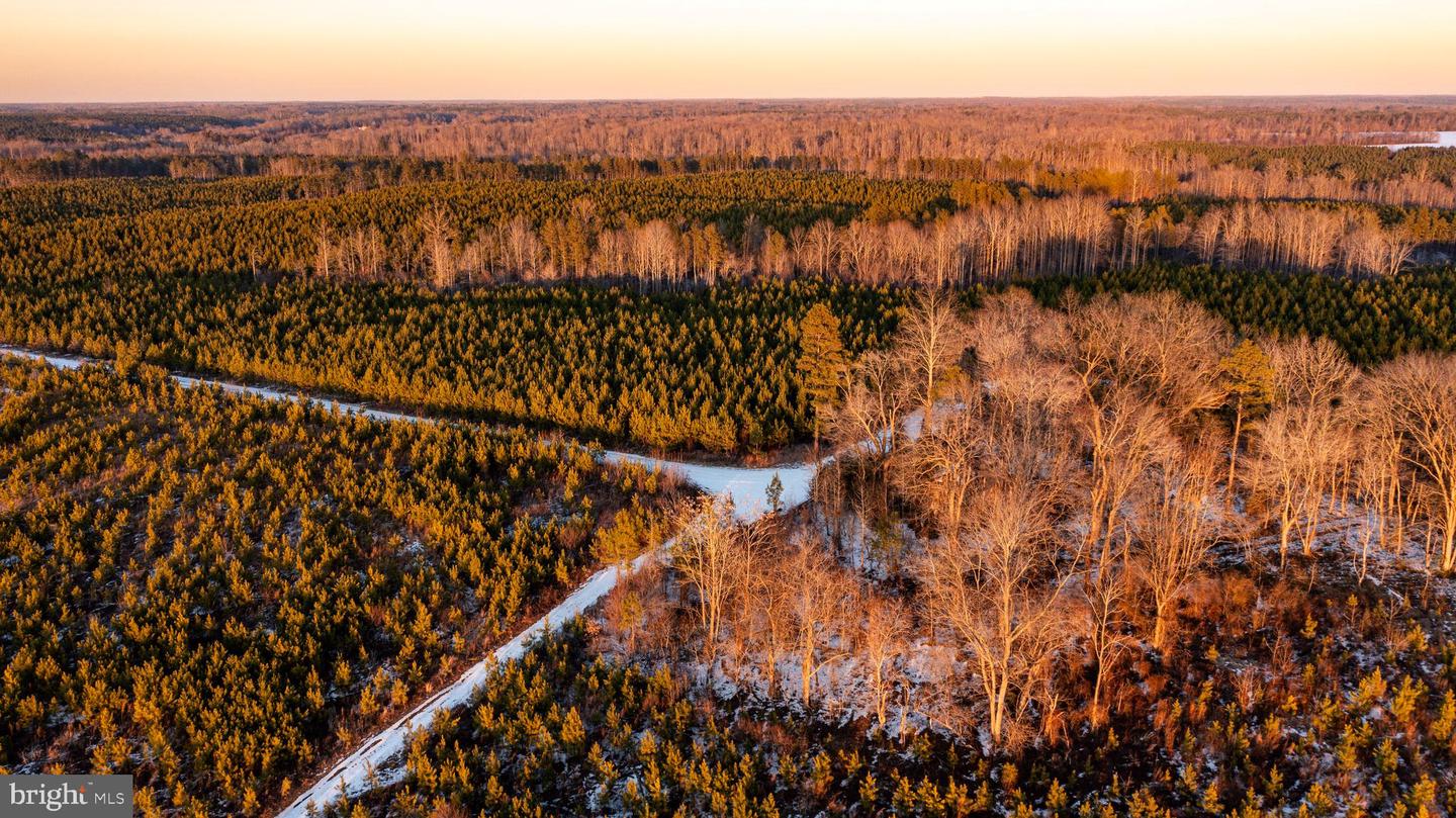 TBD SPARTA RD, MILFORD, Virginia 22514, ,Farm,For sale,TBD SPARTA RD,VACV2009536 MLS # VACV2009536