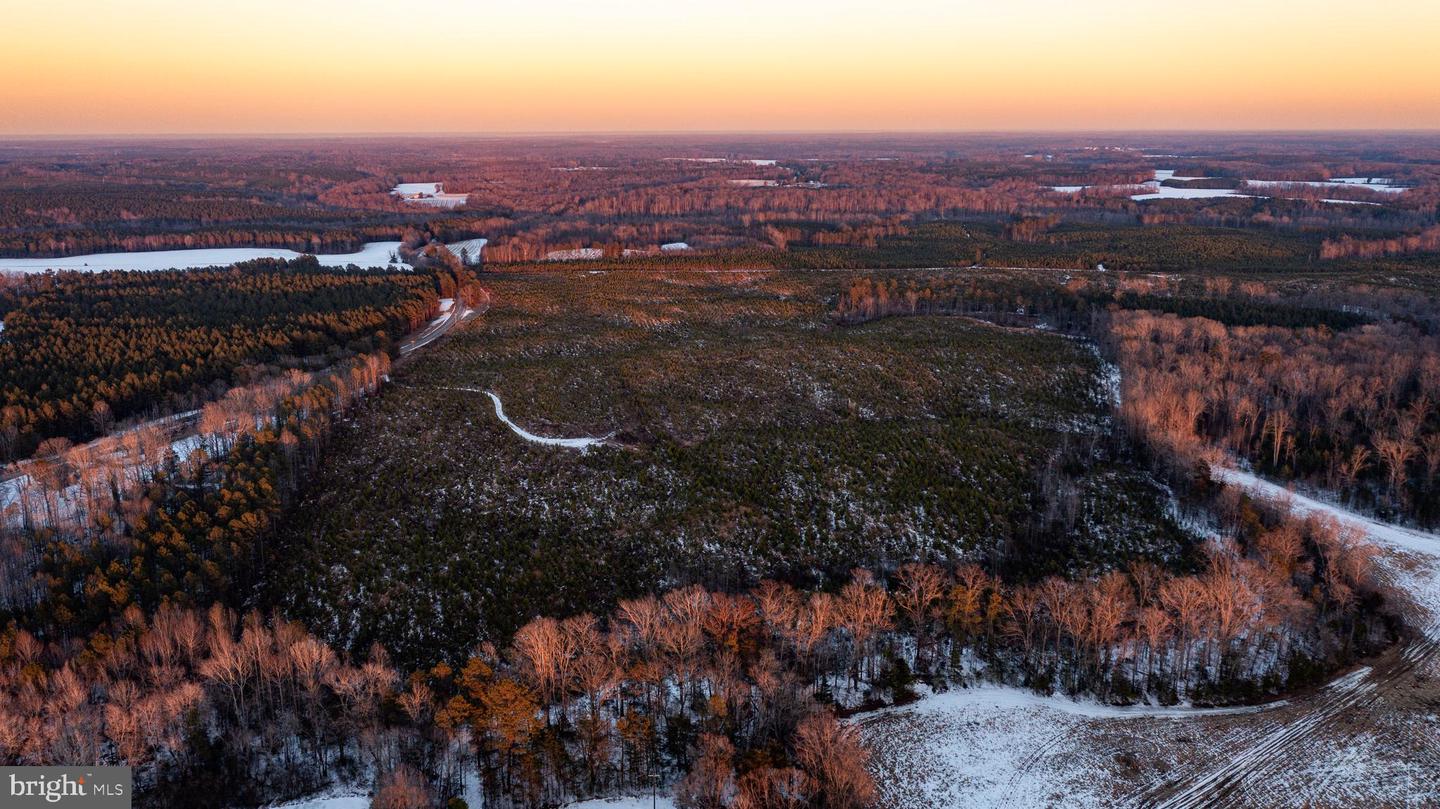 TBD SPARTA RD, MILFORD, Virginia 22514, ,Farm,For sale,TBD SPARTA RD,VACV2009536 MLS # VACV2009536