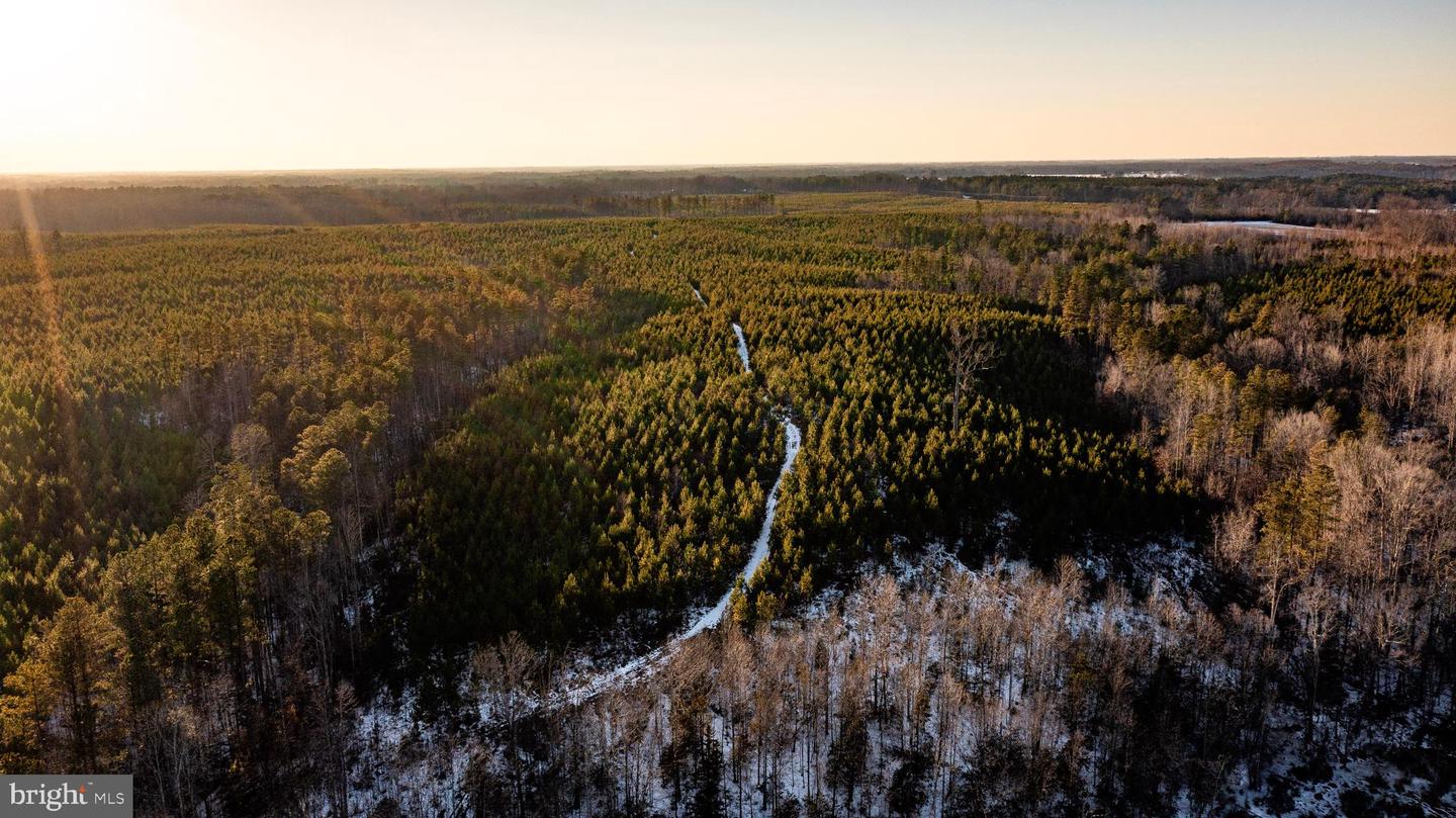 TBD SPARTA RD, MILFORD, Virginia 22514, ,Farm,For sale,TBD SPARTA RD,VACV2009536 MLS # VACV2009536