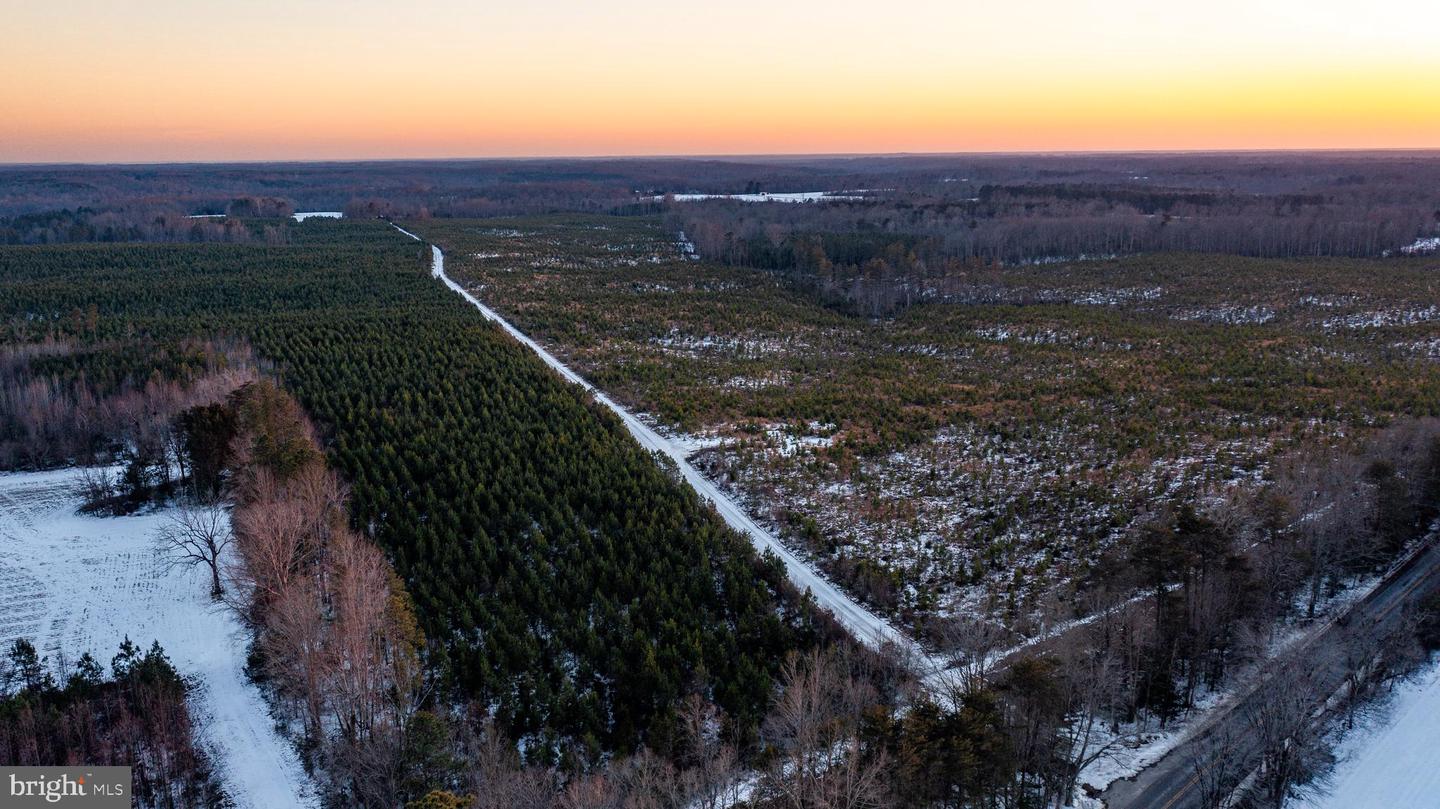 TBD SPARTA RD, MILFORD, Virginia 22514, ,Farm,For sale,TBD SPARTA RD,VACV2009536 MLS # VACV2009536