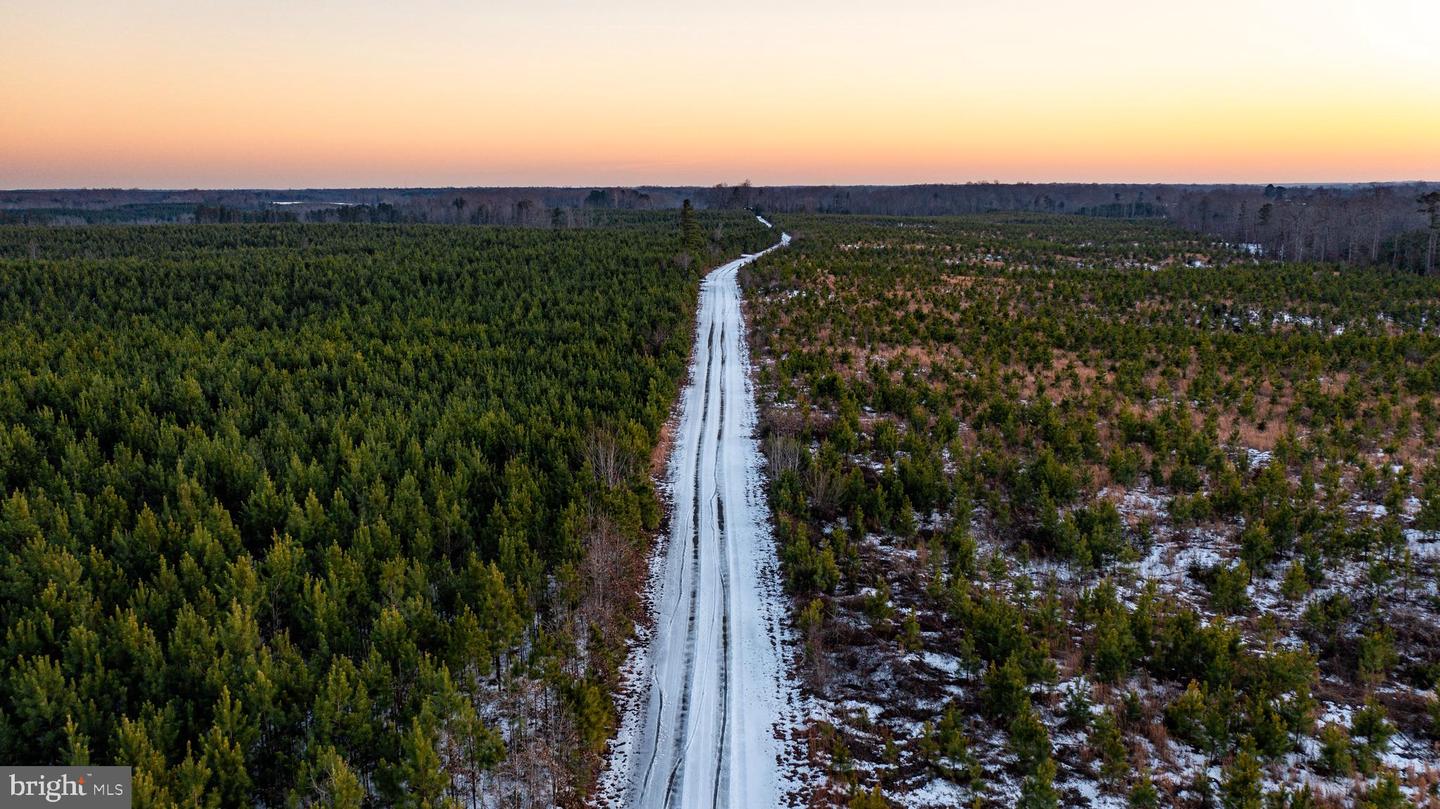 TBD SPARTA RD, MILFORD, Virginia 22514, ,Farm,For sale,TBD SPARTA RD,VACV2009536 MLS # VACV2009536