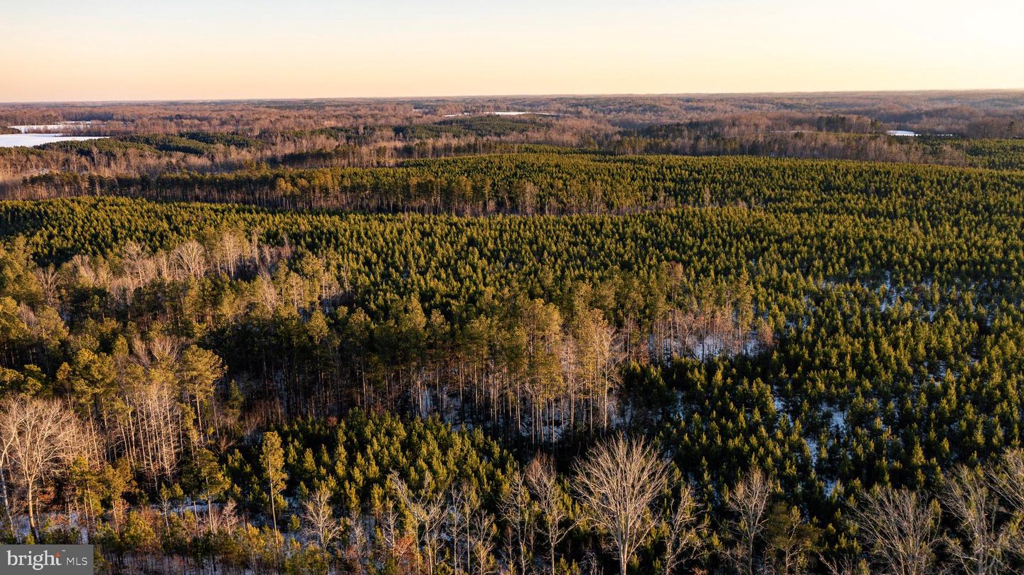 TBD SPARTA RD, MILFORD, Virginia 22514, ,Farm,For sale,TBD SPARTA RD,VACV2009536 MLS # VACV2009536