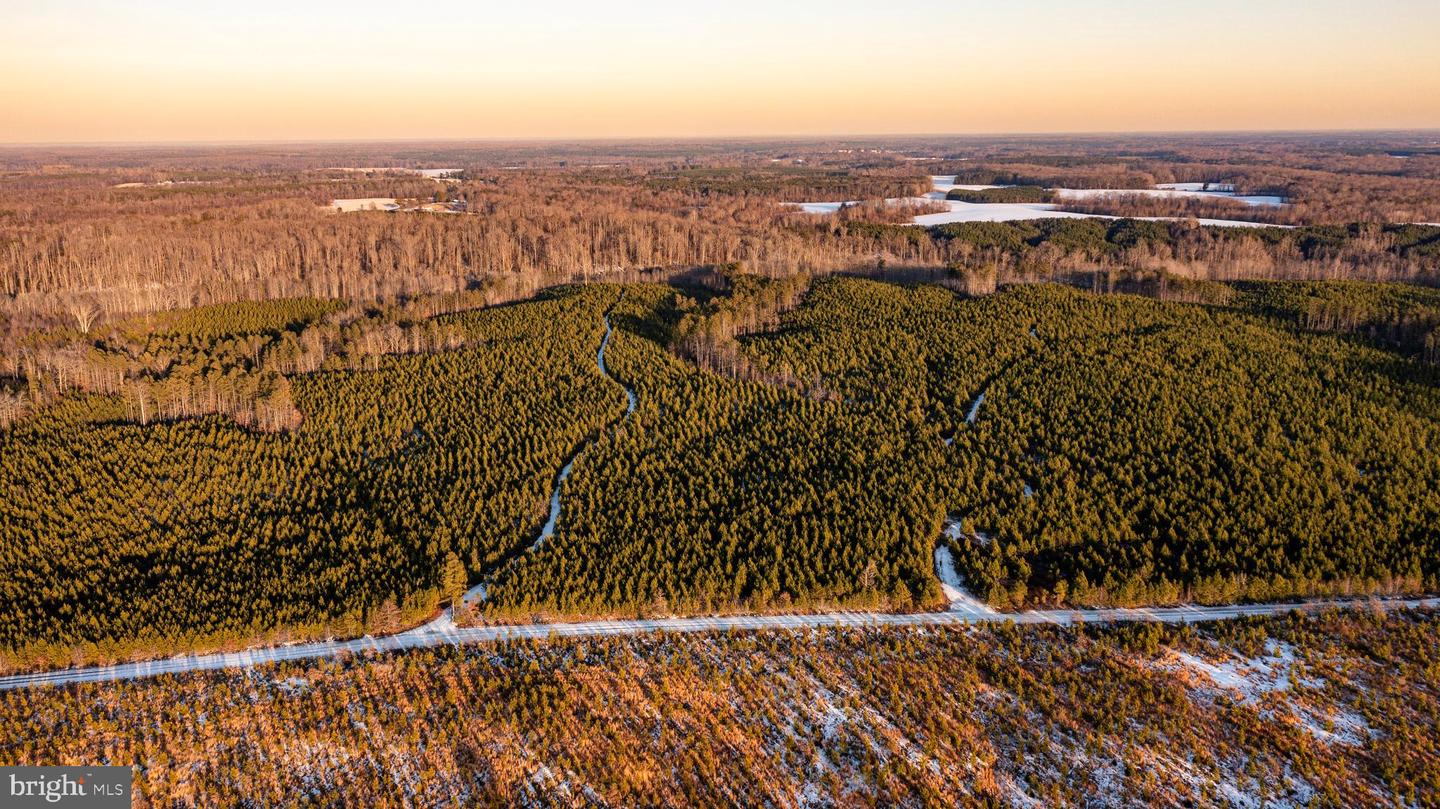 TBD SPARTA RD, MILFORD, Virginia 22514, ,Farm,For sale,TBD SPARTA RD,VACV2009536 MLS # VACV2009536