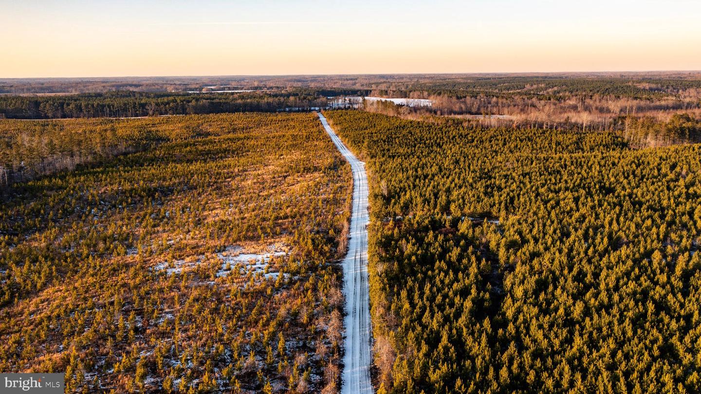 TBD SPARTA RD, MILFORD, Virginia 22514, ,Farm,For sale,TBD SPARTA RD,VACV2009536 MLS # VACV2009536