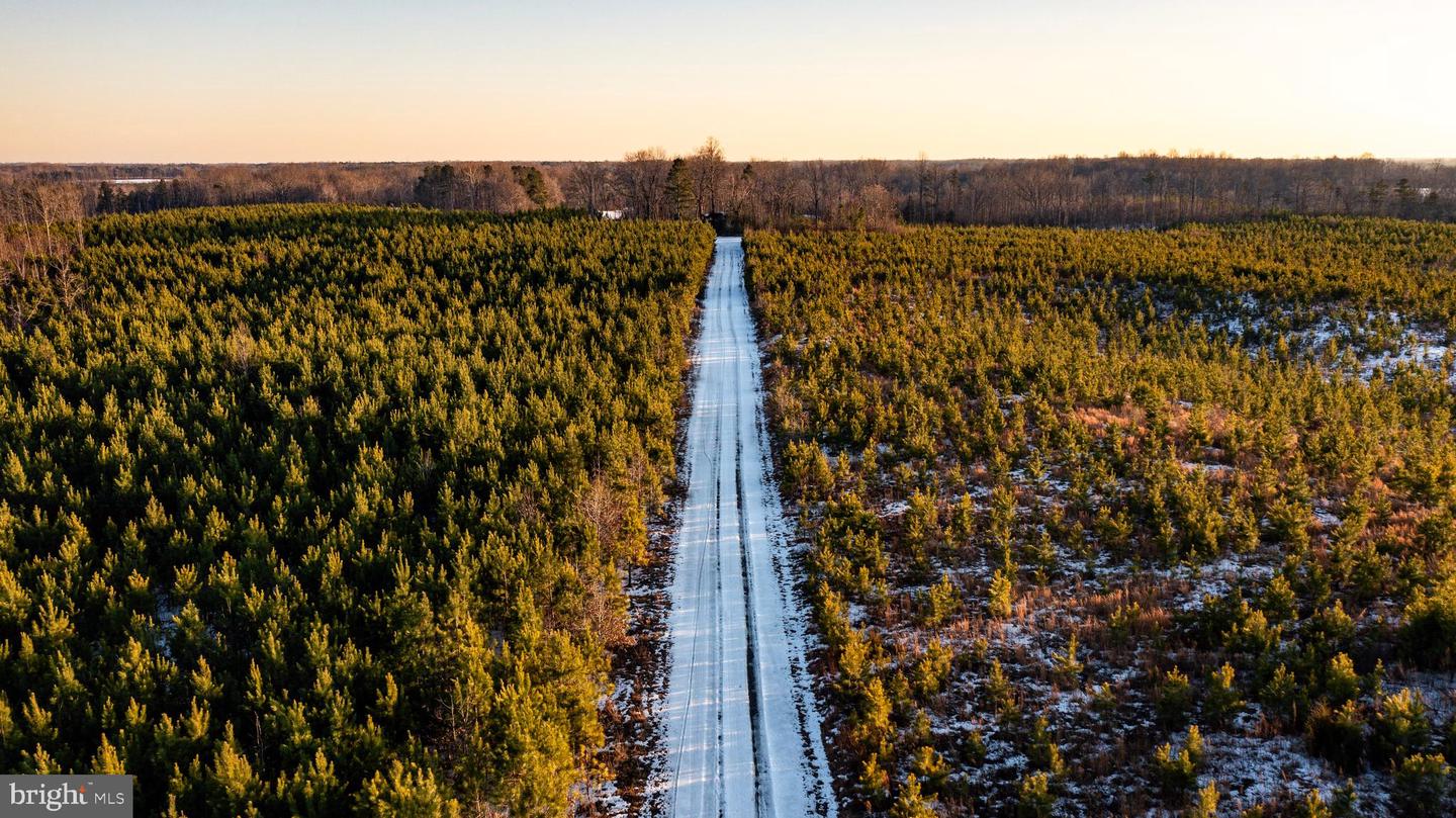 TBD SPARTA RD, MILFORD, Virginia 22514, ,Farm,For sale,TBD SPARTA RD,VACV2009536 MLS # VACV2009536