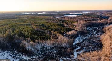 TBD SPARTA RD, MILFORD, Virginia 22514, ,Farm,For sale,TBD SPARTA RD,VACV2009536 MLS # VACV2009536