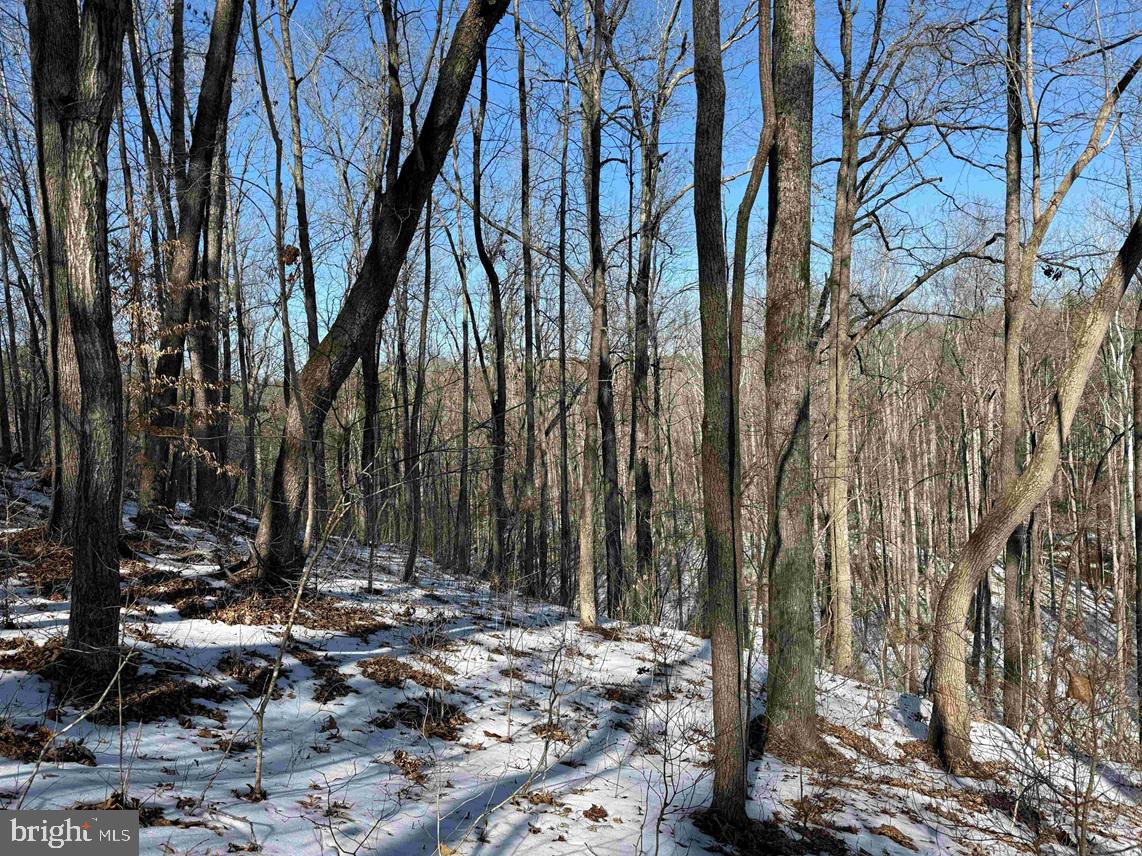 STATE HWY. 15 (TRACT: TONGUEQUARTER), DILLWYN, Virginia 23936, ,Farm,For sale,STATE HWY. 15 (TRACT: TONGUEQUARTER),VABH2000272 MLS # VABH2000272