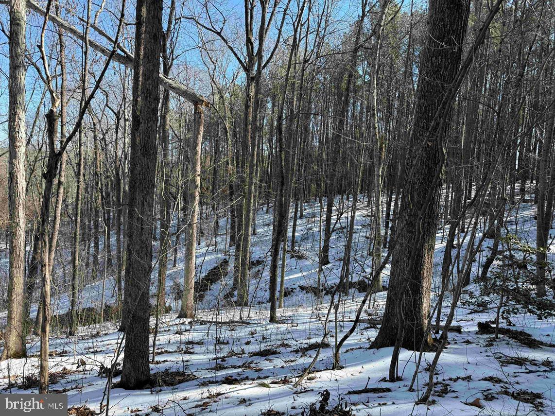 STATE HWY. 15 (TRACT: TONGUEQUARTER), DILLWYN, Virginia 23936, ,Farm,For sale,STATE HWY. 15 (TRACT: TONGUEQUARTER),VABH2000272 MLS # VABH2000272