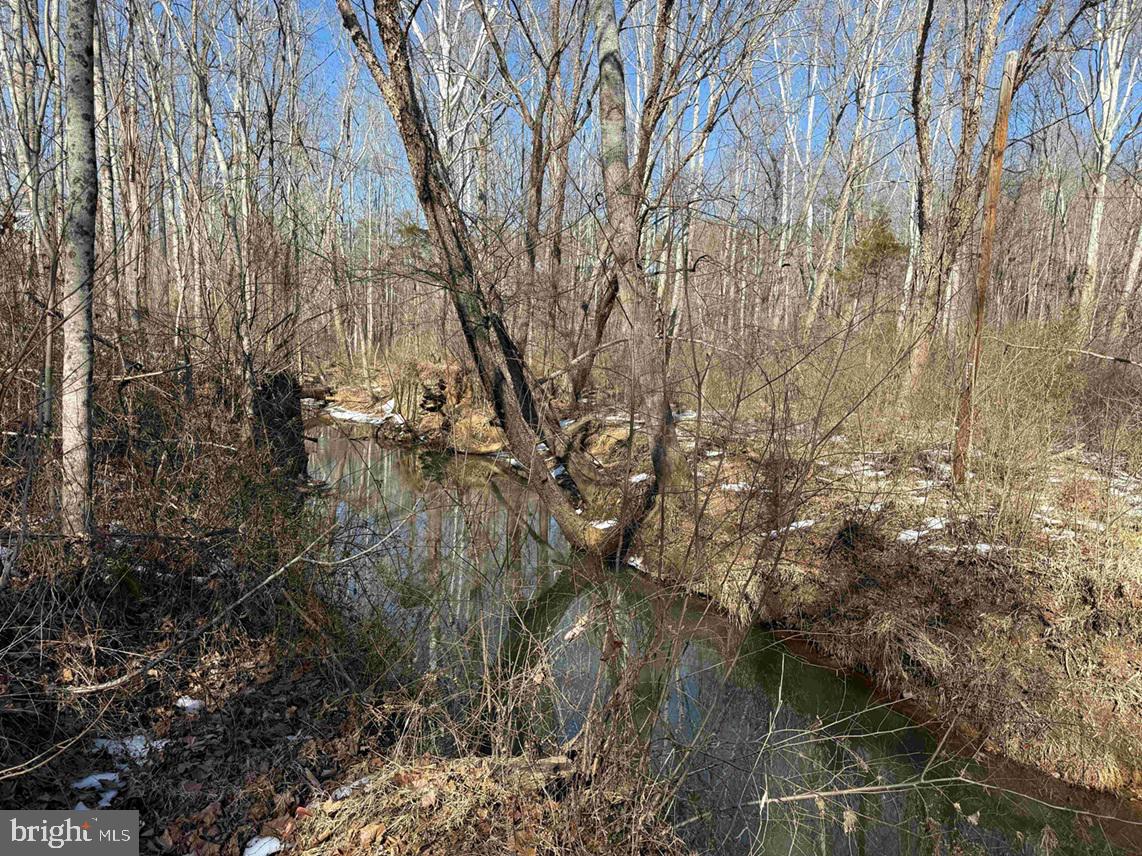 STATE HWY. 15 (TRACT: TONGUEQUARTER), DILLWYN, Virginia 23936, ,Farm,For sale,STATE HWY. 15 (TRACT: TONGUEQUARTER),VABH2000272 MLS # VABH2000272